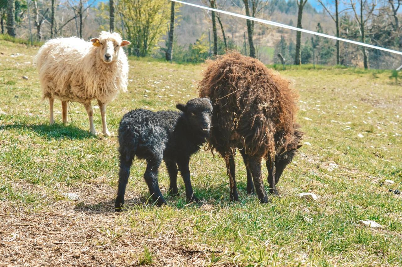 Agriturismo Vezzano キウージ・デッラ・ヴェルナ エクステリア 写真