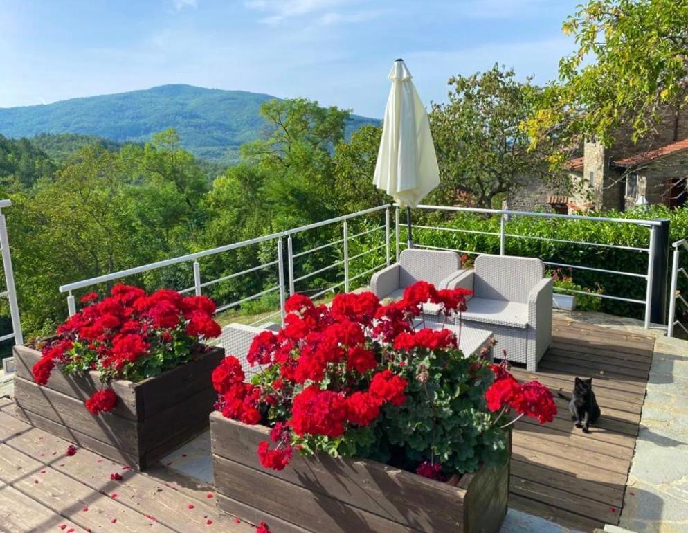 Agriturismo Vezzano キウージ・デッラ・ヴェルナ エクステリア 写真